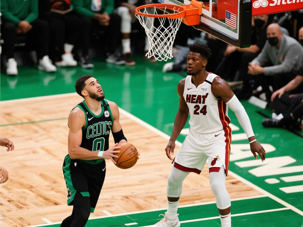 队提供了强 队提供了强