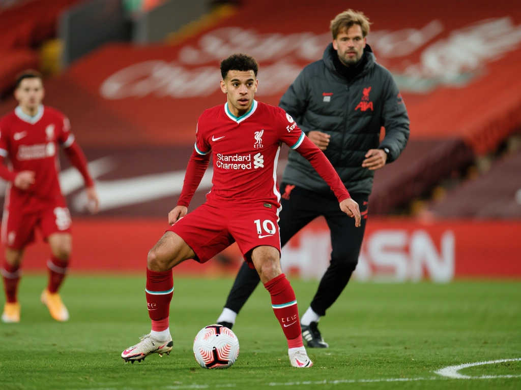 的创造力与 的创造力与